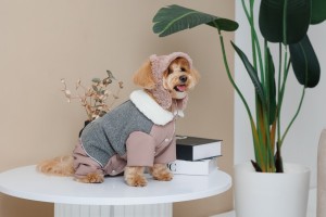 ����� Pet Fashion Valley ��� ����� ����� XS