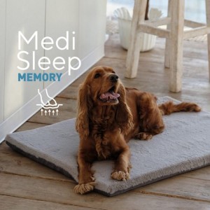 ������������ ������ Pet Fashion �Medi Sleep Memory� ��� �����, ����� S, 48�32�4 ��, ����