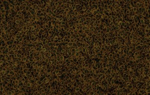 ���� Tetra PRO Algae Multi-Crisps ��� ��������� ���, � �������, 250 �� (�����)