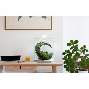 ������� Aquael Smart Day & Night ��� ��������, ����, 10 �
