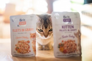 ������� ���� ��� ������� Brit Care Kitten Fillets in Gravy Tender Turkey ���� � ���� �������, 85 �