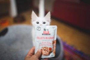 ������� ���� Brit Care Cat Pouch ��� ����, ���� � ����, ����� ������� � �������� ������, 85 �