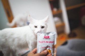 ������� ���� Brit Care Cat Pouch ��� ����, ���� � ����, �������� ������, 85 �