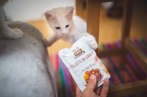 ������� ���� Brit Care Cat Pouch ��� ����, ���� � ����, �����, 85 �