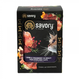 ���� ������� ����� Savory 3+1 ��� ������������� ����, ���� � ���������� � ����, �����, 4 �� 85 �