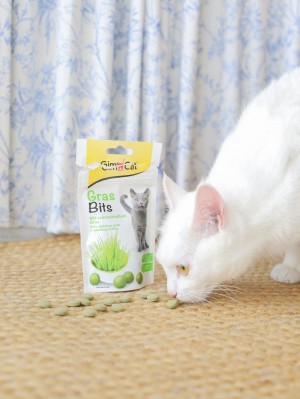 ������ GimCat GrasBits ��� ����, �������� � ������, 65 ��, 40 �