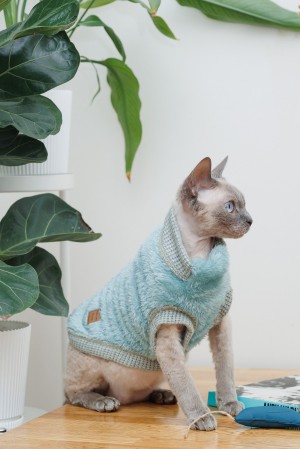 ����� Pet Fashion Tim ��� ����, ����� S