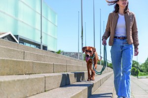 ������� Trixie Cavo ������������ ��� ����� L�XL 2 � d 18 �� ����/������