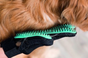 ��������� Trixie ��� ����������� �����, 16�24 ��