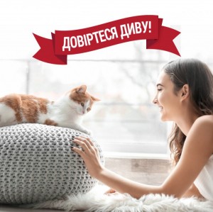����� 8in1 NM Cat Orange Oxy Spray ��� ����, �������� ���� � �������, 709 ��