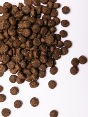   Savory    ,     , 1 