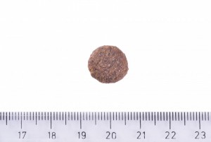 ����� ���� Brit Care Dog Sustainable Adult Medium Breed ��� ����� �������� ����, � ������ �� ��������, 12 ��