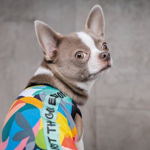 �������� Pet Fashion �Cool� ��� �����, ����� M, � �������