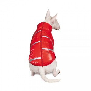 ����� Pet Fashion �Big Boss� ��� �����, ����� 3XL, ��������