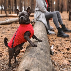 ����� Pet Fashion �E.Vest� ��� �����, ����� SM, ��������