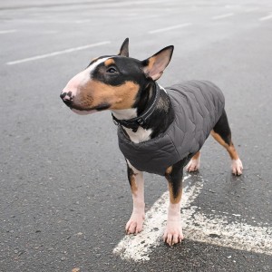 ����� Pet Fashion �E.Vest� ��� �����, ����� M2, ����