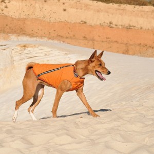 ����� Pet Fashion �E.Vest� ��� �����, ����� M2, ������������
