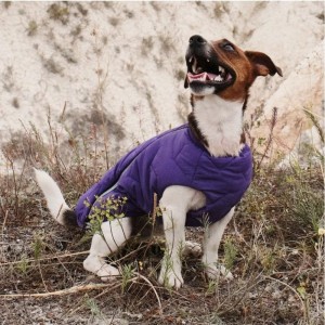 ����� Pet Fashion �E.Vest� ��� �����, ����� XS2, ����������