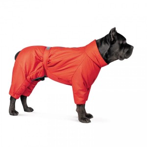 ��������� Pet Fashion �Cold� ��� �����, ����� 6XL, ��������