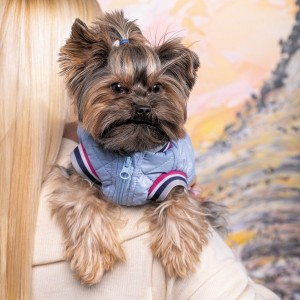 ������ Pet Fashion �Spike� ��� �����, ����� XS2, ���������