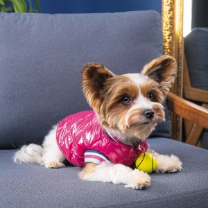 ������ Pet Fashion �Grace� ��� �����, ����� M, �������