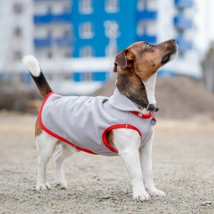 ����� Pet Fashion �Fleecy� ��� �����, ����� XS2, ���-��������