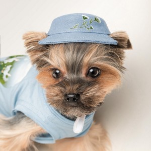 ������ Pet Fashion ��� ����� Blue M � �������� �������