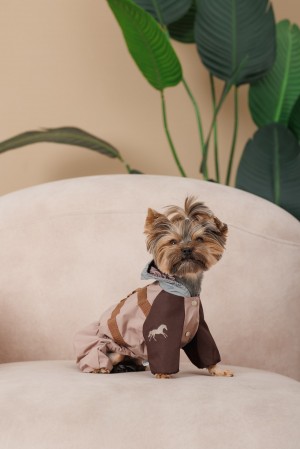 ������� Pet Fashion Mustang ��� ����� ����� M2