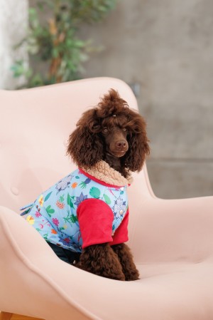������ Pet Fashion Alisa ��� ������� ����� S