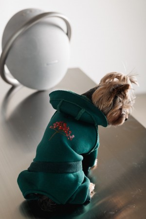 ������ Pet Fashion Berry ��� ����� ����� L