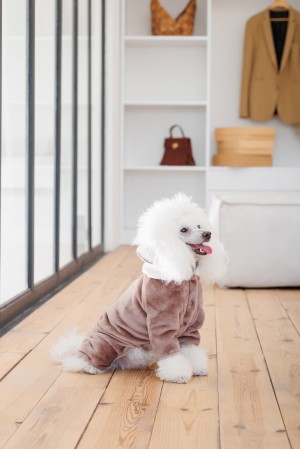 ������ Pet Fashion ALF ��� ����� ����� XS2 �������