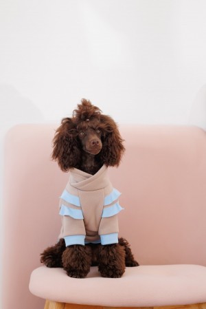��� Pet Fashion Home ��� ������� ����� S
