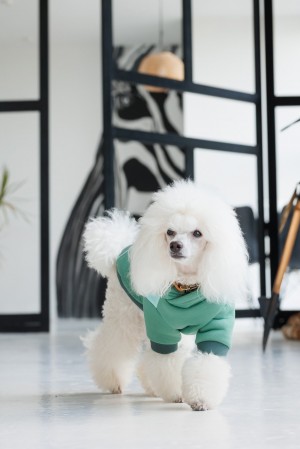 ��� Pet Fashion Woody ��� ����� ����� XS