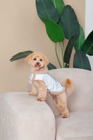 ����-����� Pet Fashion Rob ��� ����� ����� S