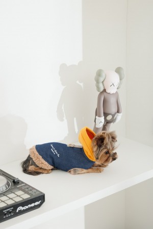 ����-����� Pet Fashion Poppy ��� ����� ����� XS