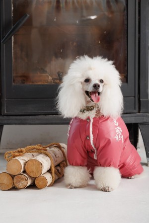 ��������� Pet Fashion Cherry S ������� ��� �����
