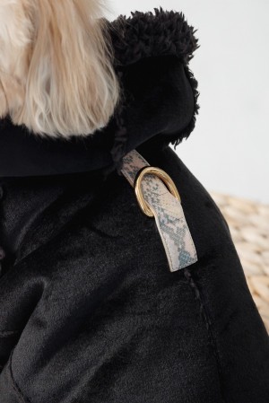 �������� Pet Fashion Black S ��� �����