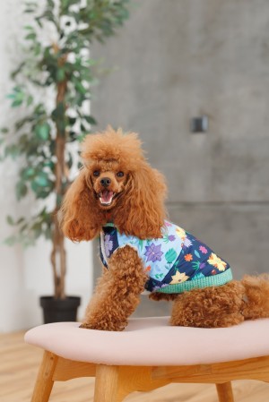 ����� Pet Fashion Grass ��� ����� ����� XS2
