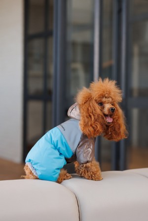 ��������� Pet Fashion �harlie L ��� �����