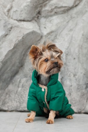 ��������� Pet Fashion EGO �S ������� ��� �����