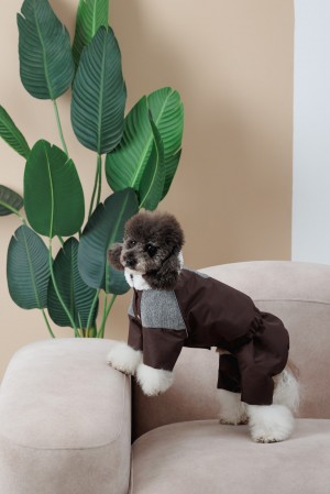 ������ Pet Fashion Locky S2 ��� �����