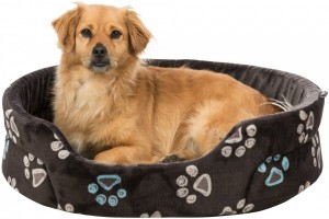 ����� Trixie �Jimmy� ��� �����, � ������������ ���������, 110�95 �� (����)