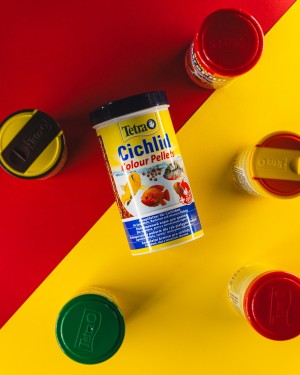 ���� Tetra Cichlid Colour ��� ��� �����, ��� ��������� �����������, 500 �� (�������)