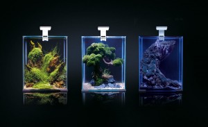 ������� Aquael Smart Day & Night ��� ��������, ������, 30 �