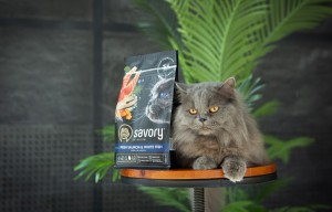   Savory   ,      , 400 