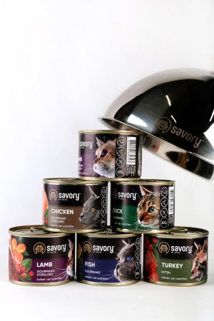   Savory    ,  , 400 