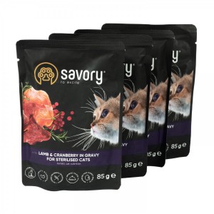 ���� ������� ����� Savory 3+1 ��� ������������� ����, ���� � ���������� � ����, �����, 4 �� 85 �