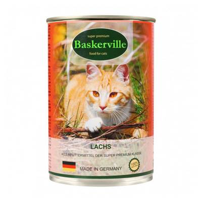 ������� ���� ��� ���� Baskerville ������ 400 �